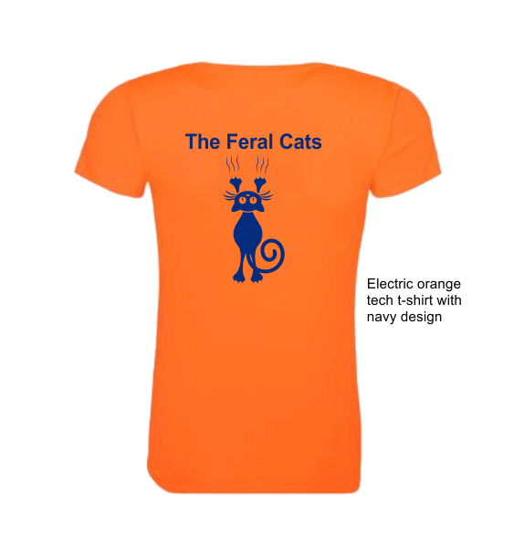 D&R-Feral-Cats-e-orange